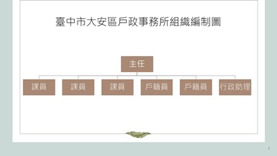 大安戶政組織圖